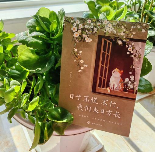 模糊里藏着活日子