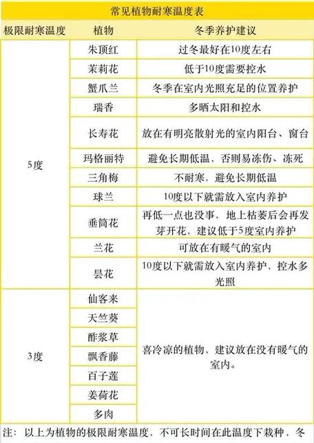 不同季节室内植物叶片清洁频率参考表
