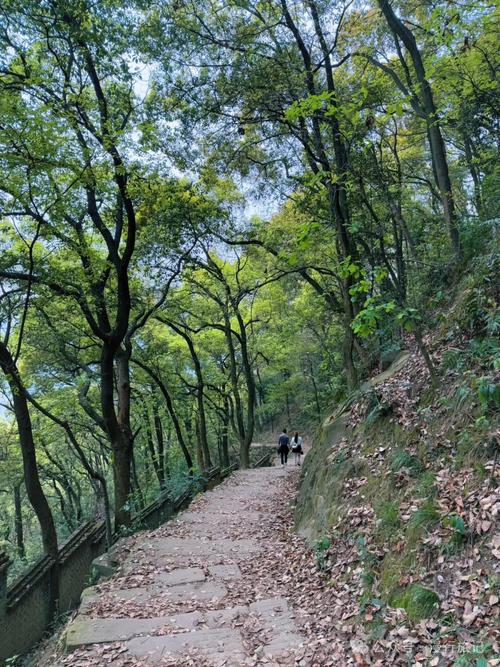 南漳荆山崆峒山原始山林石板步道