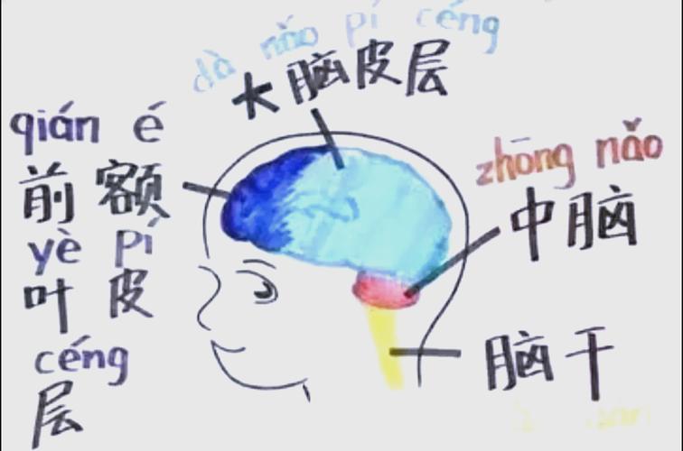 那脑袋里到底在搞什么鬼？