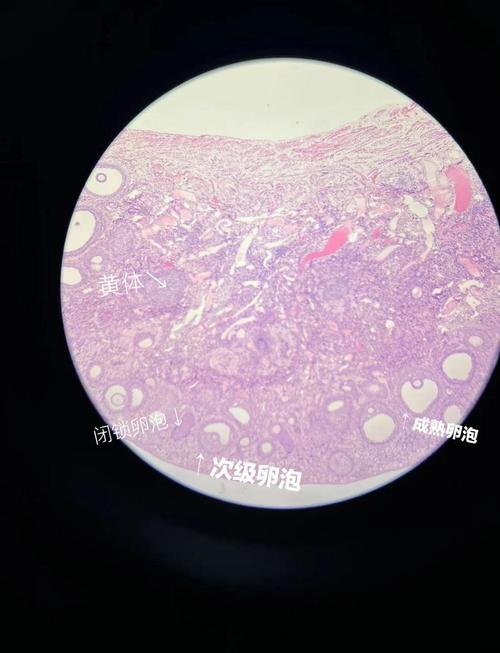 科研成果怎么就成了画饼？最近几个真家伙让我激动得睡不着