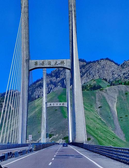 新疆赛里木湖果子沟大桥春季远景