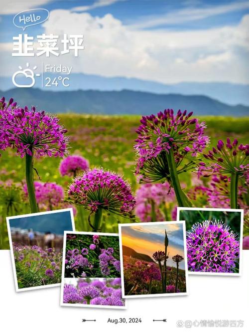 边缘端落地才是真落地,别搞云端那套花活