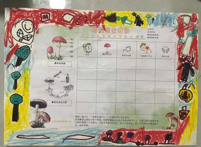 小学生农场研学活动观察记录图