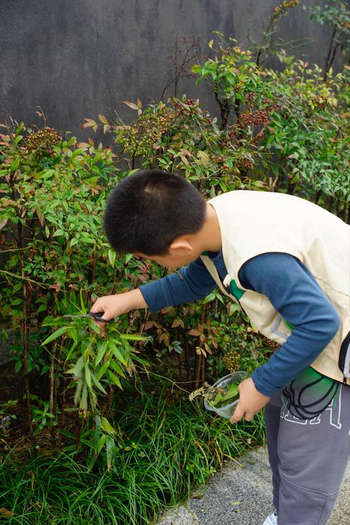 孩子在野外观察树叶的近距离特写