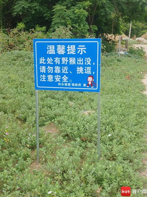 几个特殊户外场景的额外提醒