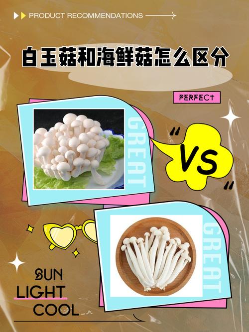 海鲜和菌菇,清洗细节别偷懒