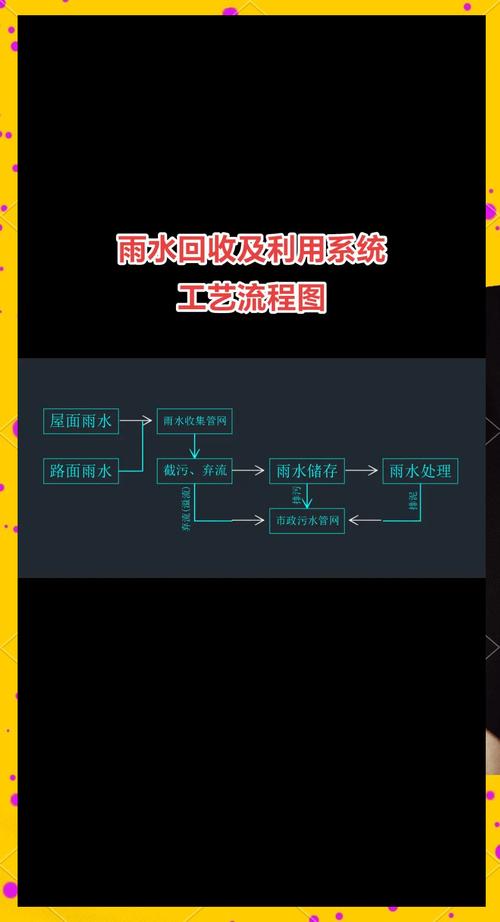 小学生团队设计校园雨水收集系统