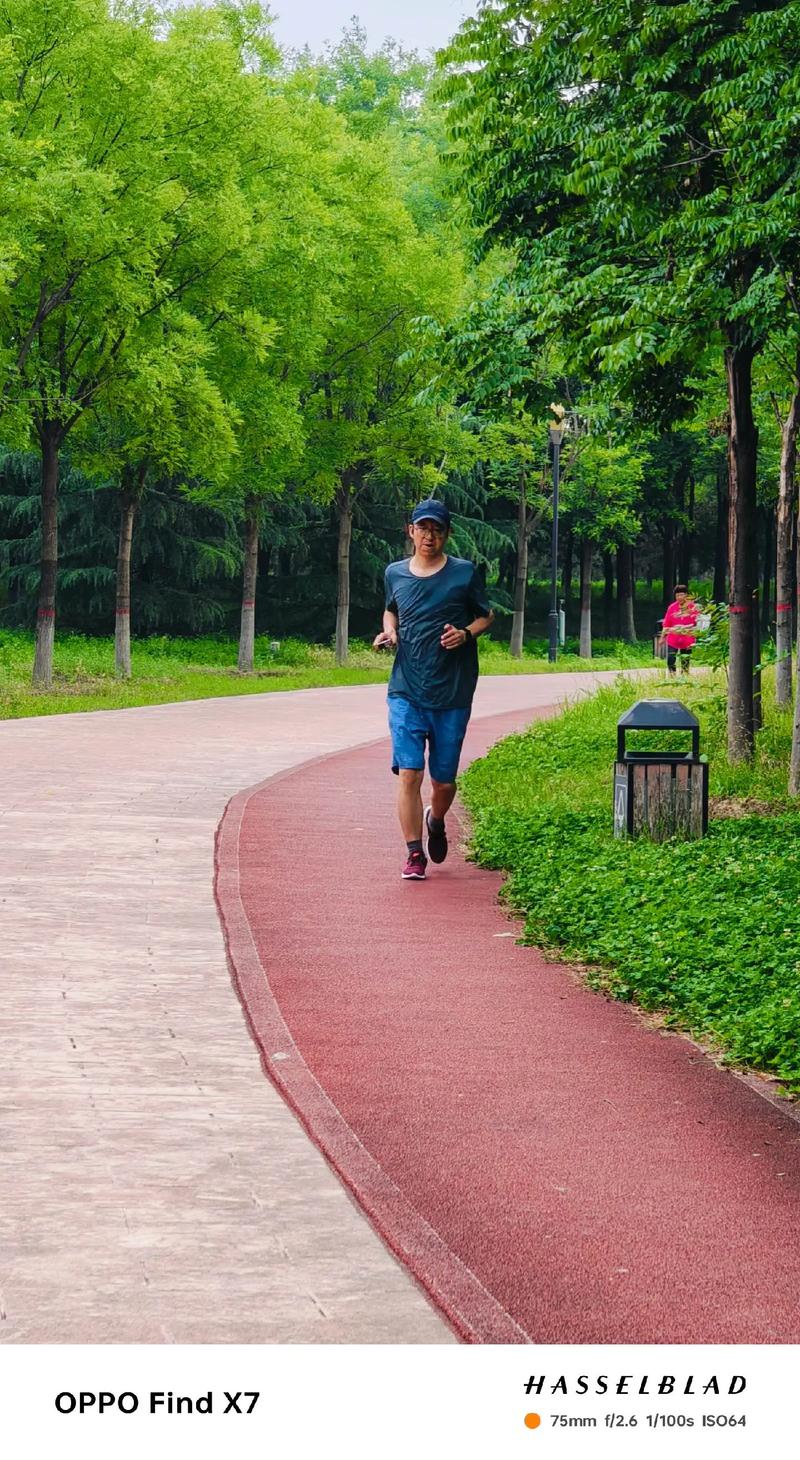 公园林荫道上晨跑的中年男女