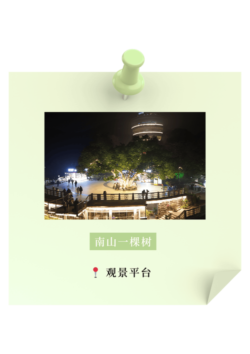 夜游神私藏:南山一棵树的平替
