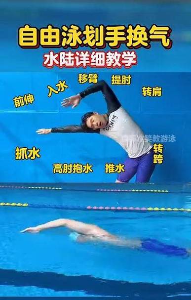 自由泳转头换气动作分解示意图