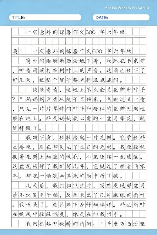我的三次失败与一次惊喜