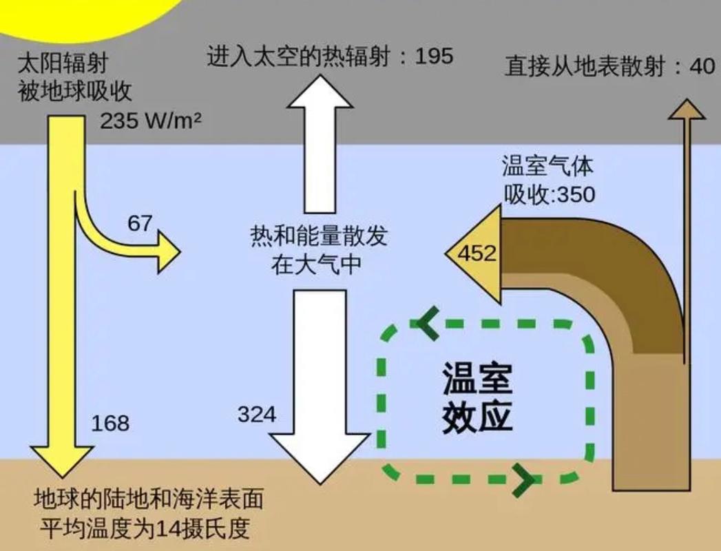 光照、温度，还有通风