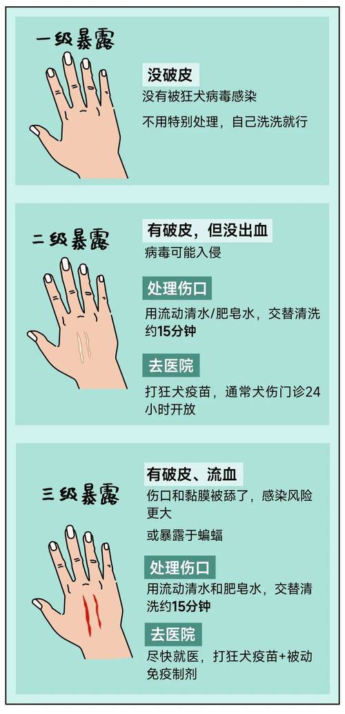 咬人打人的就医红线要记牢