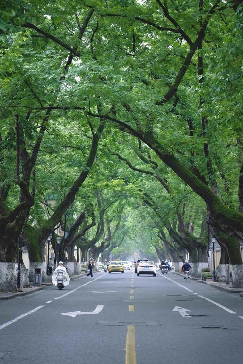 南京老城旧改后居民休闲步道
