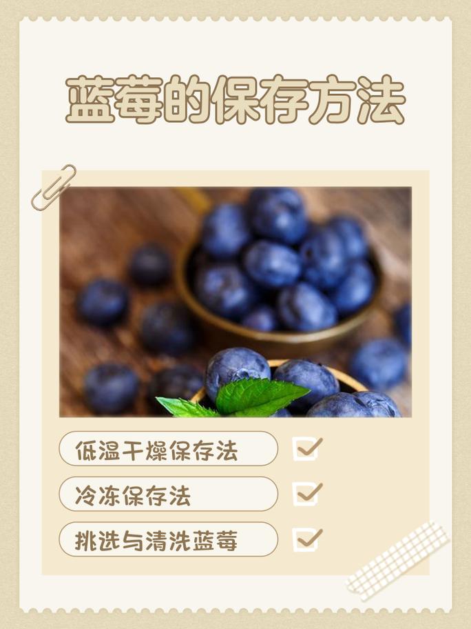 铺厨房纸巾保存蓝莓的保鲜方法