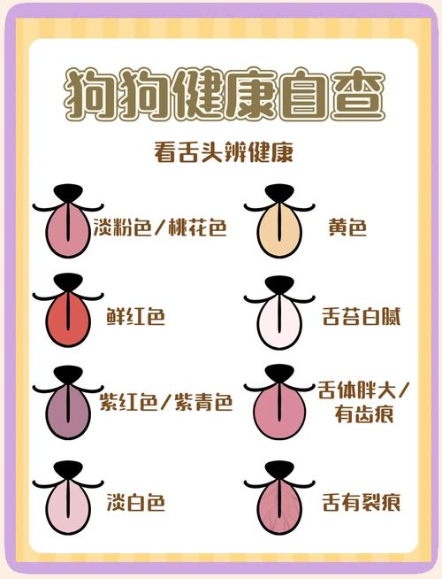宠物中暑早期舌色对比示意图