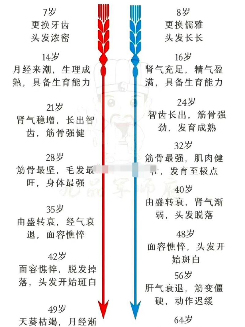 搜索关键词意图变化时间对比图