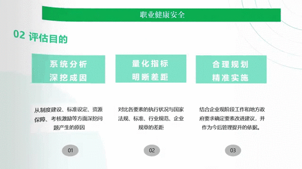 个人职业动态调整路径示意图