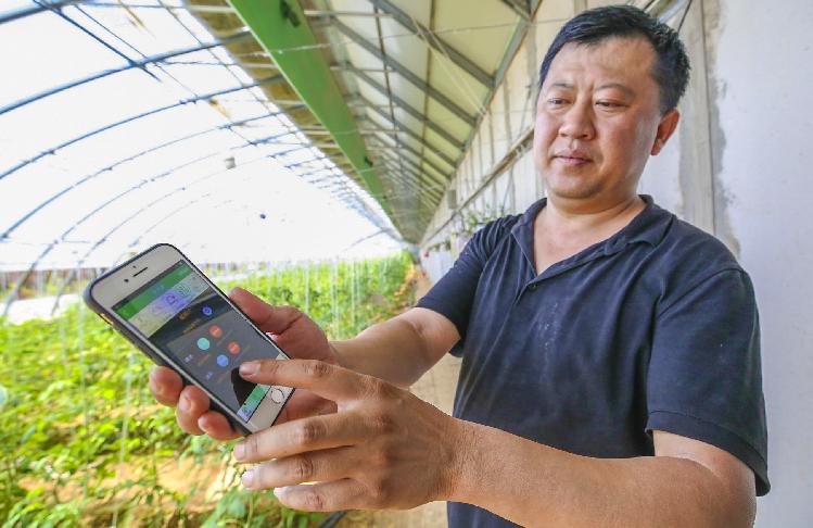 欠发达地区农户使用普惠农业APP操作实拍