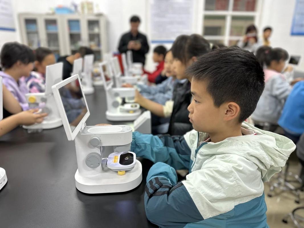 小学科学课堂学生操作光学显微镜调焦实拍
