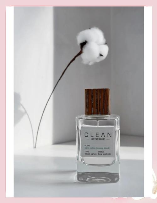 Clean暖棉香水白衬衫清新感