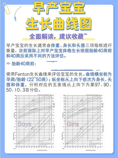 新手妈妈带娃生长曲线手绘图