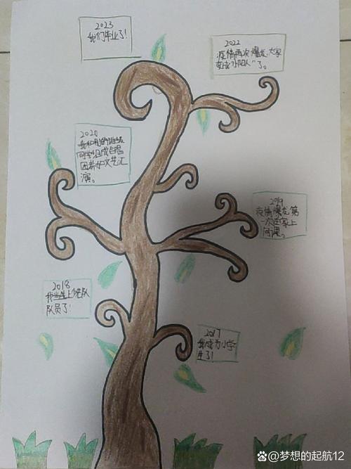 7岁儿童手绘成长森林关系图作品