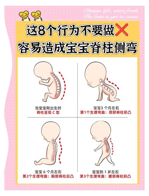 儿童脊柱生理弯曲发育阶段对比示意图