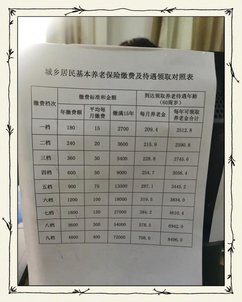 养老保险金个人账户缴费明细拆分表