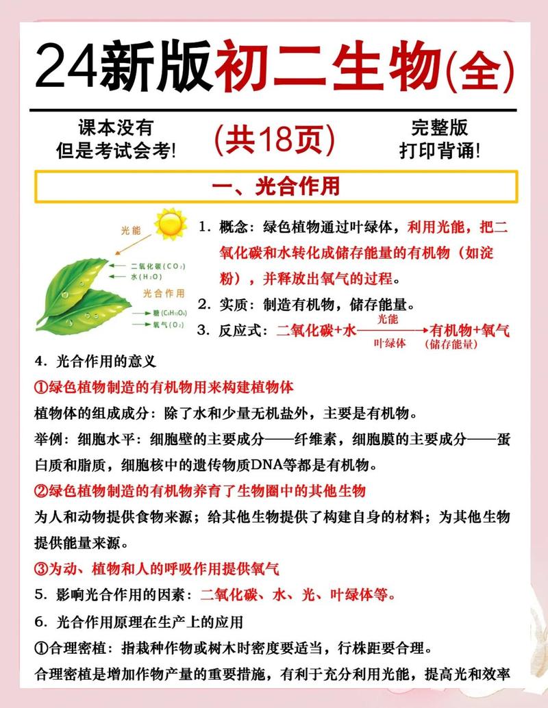 常见误区:别再把呼吸作用当光合作用了