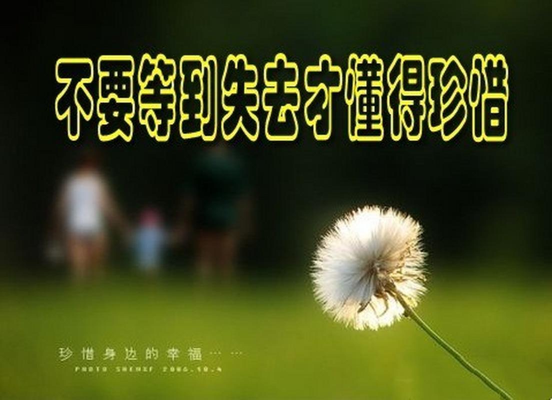 别等系统买完了才想起没人管内容