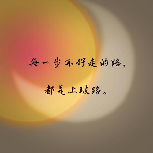 优化逻辑走的完全不是一条路