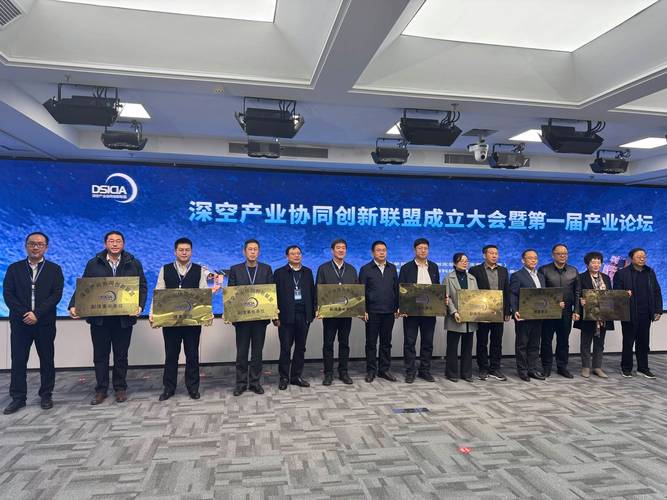 真能打的产业创新联盟，都长什么样？