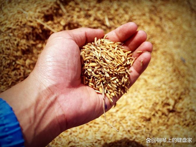 农业里的生物技术应用，偷偷解决了全球的吃饭问题