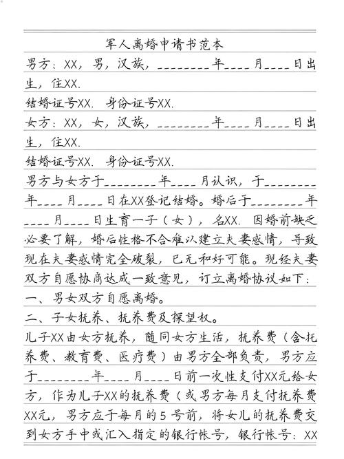 律师手写军人离婚证据清单页