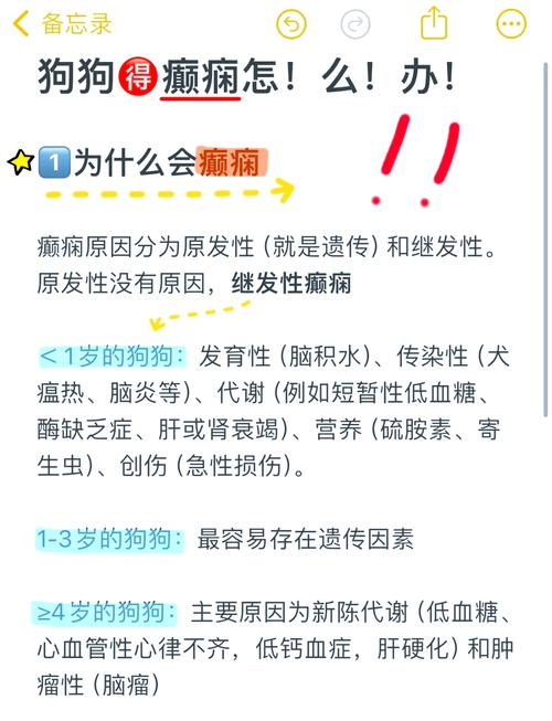 宠物癫痫病因排查检查项目表