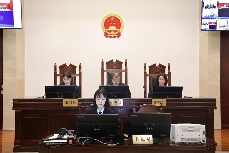 法院审理人脸识别侵权案件庭审现场