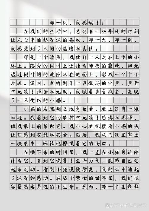 小学生写在作文本上的带感官细节的片段实拍