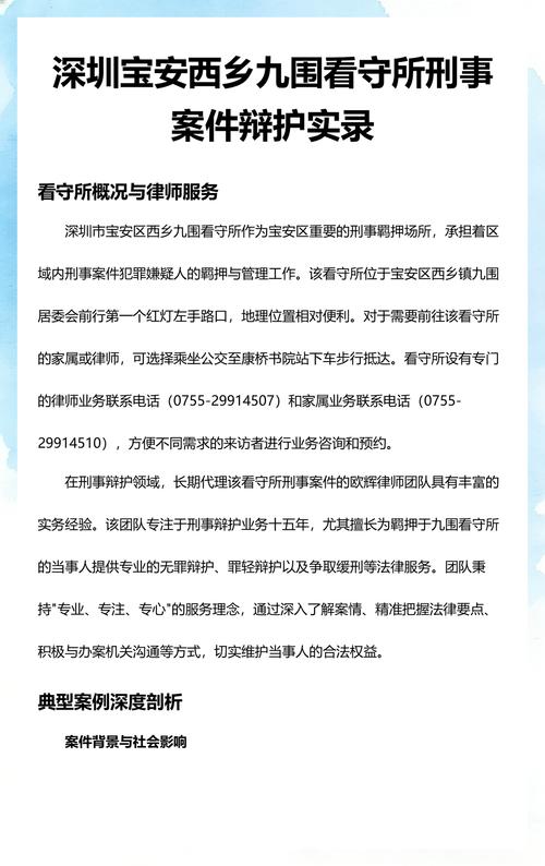 专业刑事辩护团队研究案卷