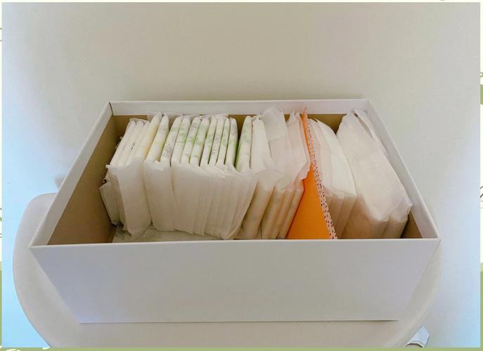 中学女厕带锁免费卫生巾收纳箱