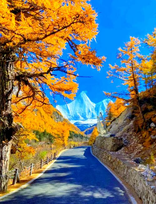 稻城亚丁景区盘山公路沿途秋景
