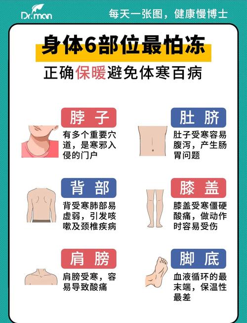 冬季居家人体核心保暖部位示意图