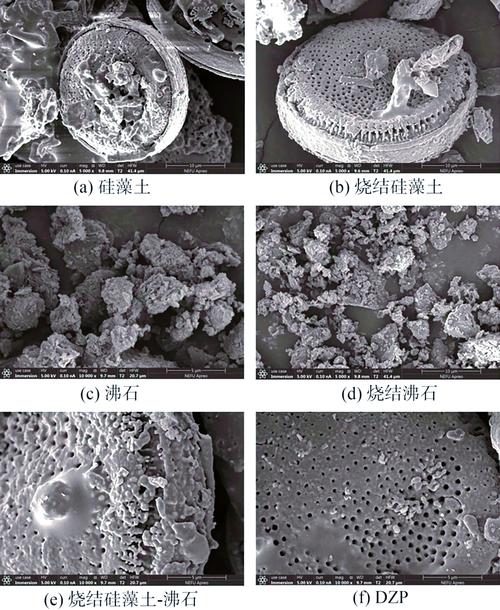 沸石分子筛晶化过程中杂晶SEM图像