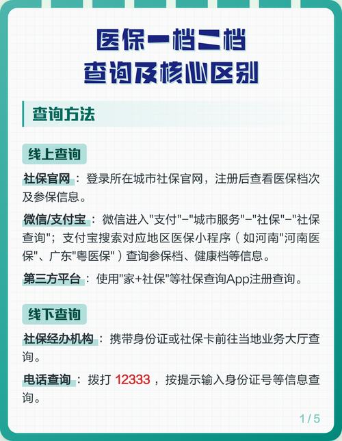 手机端医保查询核心项目分类图