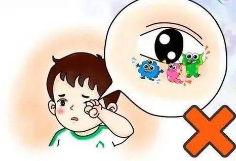 用眼过度后错误揉眼睛带菌示意图