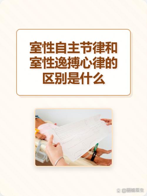 容易和它搞混的概念：实体抽取