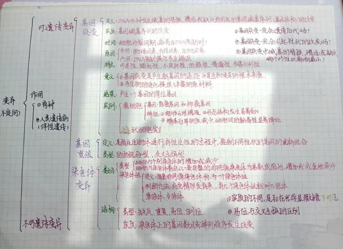 高中生物基因突变知识点手写思维导图