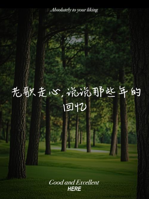 那些旧歌声,不该只留在回忆里