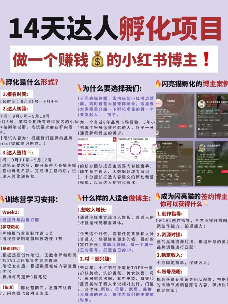 直接抄作业：要不要做，怎么做，看完就会